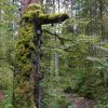 09 b Schluchensteig Etappe 4 - 6